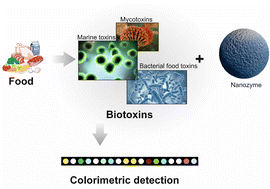 Graphical abstract: Current trends in colorimetric biosensors using nanozymes for detecting biotoxins (bacterial food toxins, mycotoxins, and marine toxins)