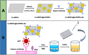 Graphical abstract: Cu-MOFs@AuPtNPs nanozyme-based immunosorbent assay for colorimetric detection of alpha-fetoprotein