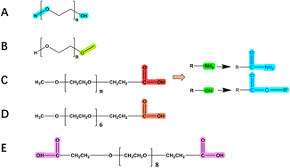 Graphical abstract: Development of a UPLC-MS/MS assay for determination of PA-PEG8-PA polymers in rat plasma coupled with [M − H]− to enhance sensitivity