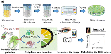 Graphical abstract: Development of stable and sensitive strip biosensors for the rapid detection of organophosphates and aflatoxin B1 in agricultural samples