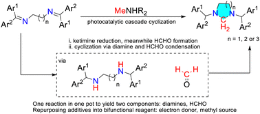 Graphical abstract: Dual role tertiary amines in photocatalytic cyclizations: towards sustainable syntheses of 1,3-dinitrogen heterocycles