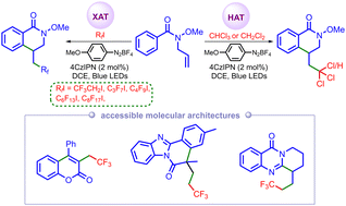Graphical abstract: Haloalkane-driven dichotomous reactivity of aryl radicals as halogen and hydrogen atom transfer agents: photocatalytic olefin and alkyne functionalization cascades