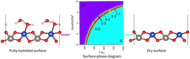 Graphical abstract: Water adsorption at the (010) and (101) surfaces of CuWO4