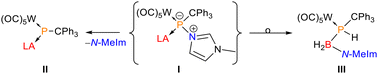 Graphical abstract: A metal and a metalloid Lewis acid bridged by a μ2-phosphinidene