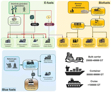 Graphical abstract: Role of biofuels, electro-fuels, and blue fuels for shipping: environmental and economic life cycle considerations