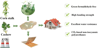 Graphical abstract: Synthesis of CO2-based biomass derived non-isocyanate polyurethane hybrid adhesives with excellent mechanical properties and water resistance