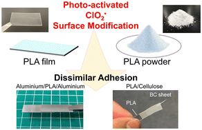 Graphical abstract: Surface modification of polylactic acid using a photo-activated chlorine dioxide process: surface properties and dissimilar adhesion