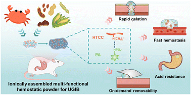 Graphical abstract: Ionically assembled hemostatic powders with rapid self-gelation, strong acid resistance, and on-demand removability for upper gastrointestinal bleeding