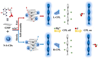 Graphical abstract: Construction of a circularly polarized luminescence sensor based on self-assembly of carbon dots and G-quartet chiral nanofibers