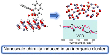 Graphical abstract: Nanoscale chirality generated in zinc(ii) orthophosphate clusters: evidence by vibrational circular dichroism