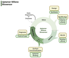 Graphical abstract: MXene-based aptasensors: a perspective on recent advances