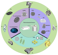 Graphical abstract: Recent advances in designable nanomaterial-based electrochemical sensors for environmental heavy-metal detection