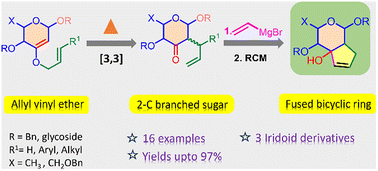Graphical abstract: Stereoselective synthesis of 3-oxo-2-C-branched glycosides from 2,3-unsaturated sugars via [3,3]-sigmatropic rearrangement