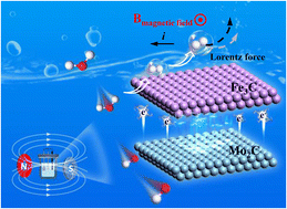 Graphical abstract: Magnetic-field enhanced interfacial electron redistribution to promote magnetoelectrocatalytic hydrogen evolution