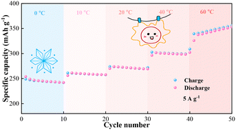 Graphical abstract: An in situ polymerization trial to prepare PEDOT decorated VO2 hollow nanospheres for stable zinc ion storage at 0 °C