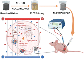 Graphical abstract: Enhancing pancreatic cancer ablation efficiency: bipolar IRE with conductive MOF