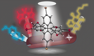 Graphical abstract: A cross-shaped organic framework: a multi-functional template arranging chromophores