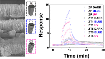 Graphical abstract: The kinetics of a light irradiation enhanced room temperature NO2 gas sensor using hybrid ZnO/ZnTe nanorod structures