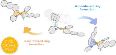 Graphical abstract: π-Extended ligands with dual-binding behavior: hindered rotation unlocks unexpected reactivity in cyclometalated Pt complexes