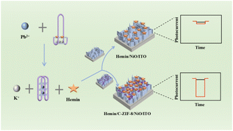 Graphical abstract: C-ZIF-8 modified NiO photocathode and enhanced photosensitizer signal amplification for ultra-sensitive photoelectrochemical detection of lead ions