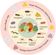 Graphical abstract: Fluorescent biosensors for the detection of foodborne pathogenic bacteria in food: a comprehensive review