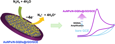 Graphical abstract: A gold nanoparticles/nitrogen doped graphene quantum dots/reduced graphene oxide ternary nanocomplex for electrocatalytic sensing of hydrazine in environmental water samples