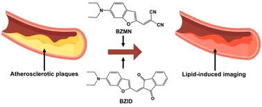 Graphical abstract: Novel fluorescent probes with high signal-to-noise ratios for lipid droplet-specific bioimaging