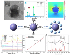 Graphical abstract: Preparation of Fe3O4@Ag for sensitive detection of organic arsonic acids via surface-enhanced Raman spectroscopy