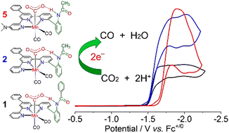 Graphical abstract: Kinetics and thermodynamics of CO2 binding to a metal centre promotes CO2 reduction