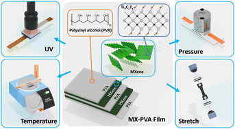 Graphical abstract: Wearable and stretchable electronics enabled by MXene–PVA films via layer-by-layer assembly with integrated UV, thermal, and mechanical sensing