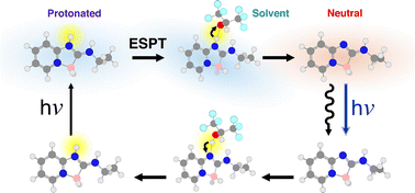 Graphical abstract: Boramidine: a boron-based photoacidic fluorophore