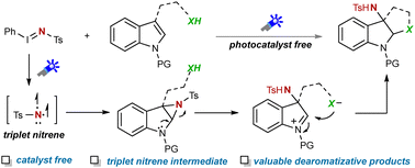 Graphical abstract: Dearomatizative aminoetherification and diamination of indoles enabled by photochemical nitrene transfer reactions