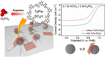 Graphical abstract: Sulfonated covalent organic frameworks for mitigating phosphate poisoning in high-temperature proton exchange membrane fuel cells