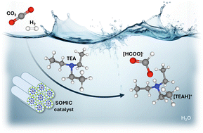 Graphical abstract: Role of base in CO2 hydrogenation to formate over a Ru(III) solid micellar catalyst