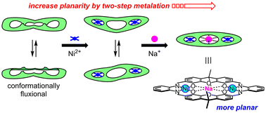 Graphical abstract: Synthesis of a xanthene-based macrocyclic imine ligand and two-step planarization by metalation with Ni2+ and Na+