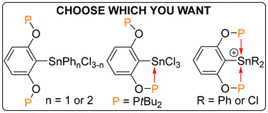 Graphical abstract: Remarkable coordination variability of the P,C,P-pincer ligand in organotin(iv) compounds – a promising outlook for other p-block elements
