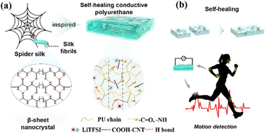 Graphical abstract: Spider-silk-inspired self-healing conductive elastomer for joint rehabilitation detection and tactile temperature warning