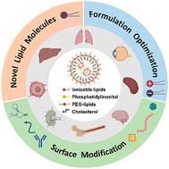 Graphical abstract: Optimizing the targeting of lipid nanoparticles for gene therapy