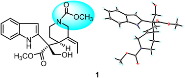 Graphical abstract: Alstoscholarisine M, a 6,7-seco-vallesamine monoterpenoid indole alkaloid with antimicrobial activity from Alstonia scholaris