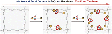 Graphical abstract: Mechanical bonds in polymer backbones: does more mean better?