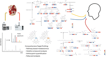 Graphical abstract: Uncovering the biosynthetic pathways of key flavor and color compounds in pomegranate using pathway-based metabolomics