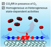 Graphical abstract: Iron porphyrin flanked by viologen redox units for persistent carbon dioxide reduction in the presence of oxygen