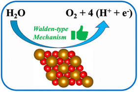 Graphical abstract: Atomic-scale insights into the oxygen evolution reaction on hematite: a detailed mechanistic investigation of different surface coverages