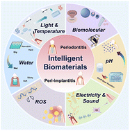 Graphical abstract: Intelligent biomaterials for periodontitis and peri-implantitis therapies: stimuli-responsive strategies targeting inflammation and regeneration