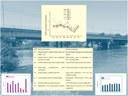Graphical abstract: Fractionation of rare earth elements in water samples from the Paraíba do Sul River