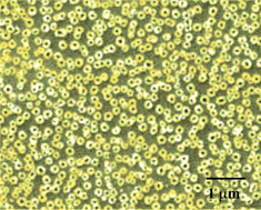 Graphical abstract: Efficient SERS substrates made by electroless silver deposition into patterned silicon structures