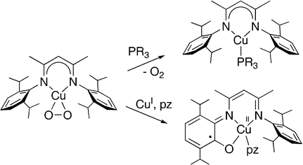 Graphical abstract: Reactivity of a 1∶1 copper–oxygen complex: isolation of a Cu(ii)-o-iminosemiquinonato species