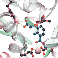 Graphical abstract: Inhibition studies on salicylate synthase