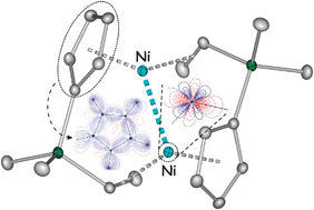Graphical abstract: On the nature of Ni⋯Ni interaction in a model dimeric Ni complex