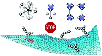 Graphical abstract: Insights in the rational design of synthetic multivalent glycoconjugates as lectin ligands